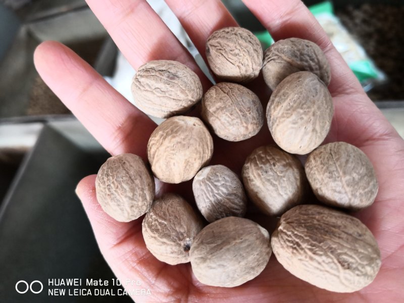 肉豆蔻中药材调料干货2斤起包邮