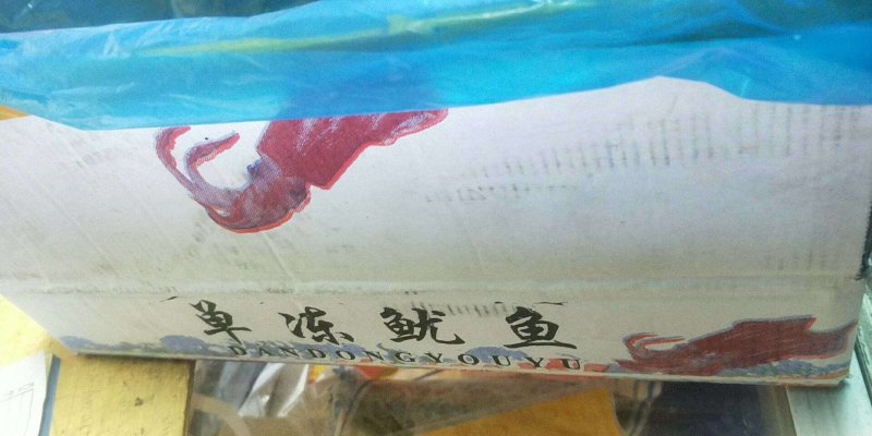 单冻鱿鱼
