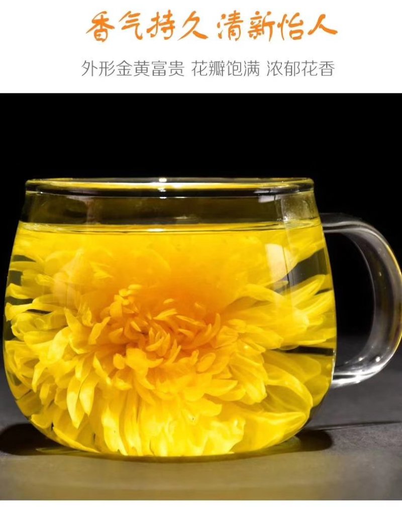 金丝皇菊一朵一杯每包100朵