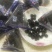 蓝莓干