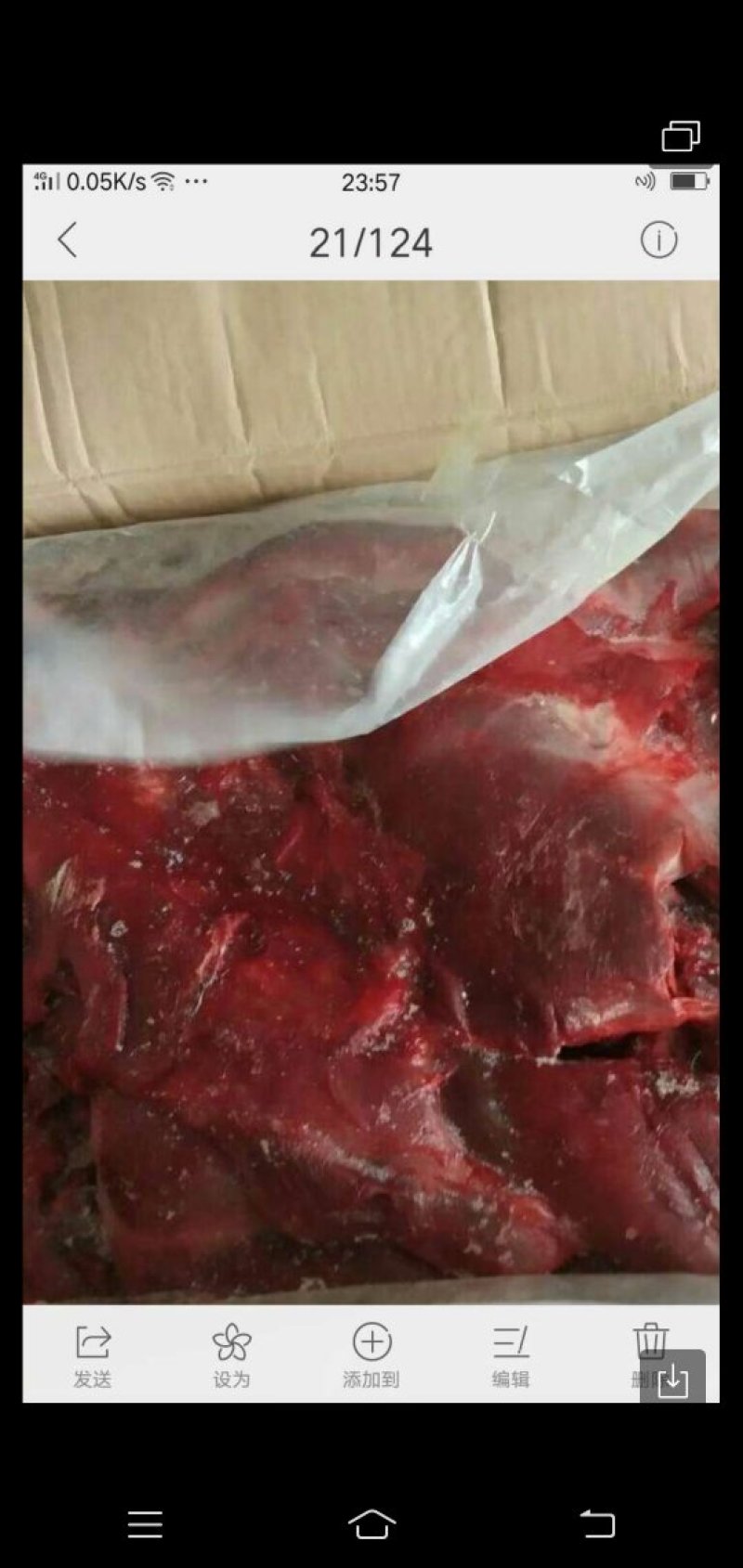 肯尼亚驴肉到货一柜！