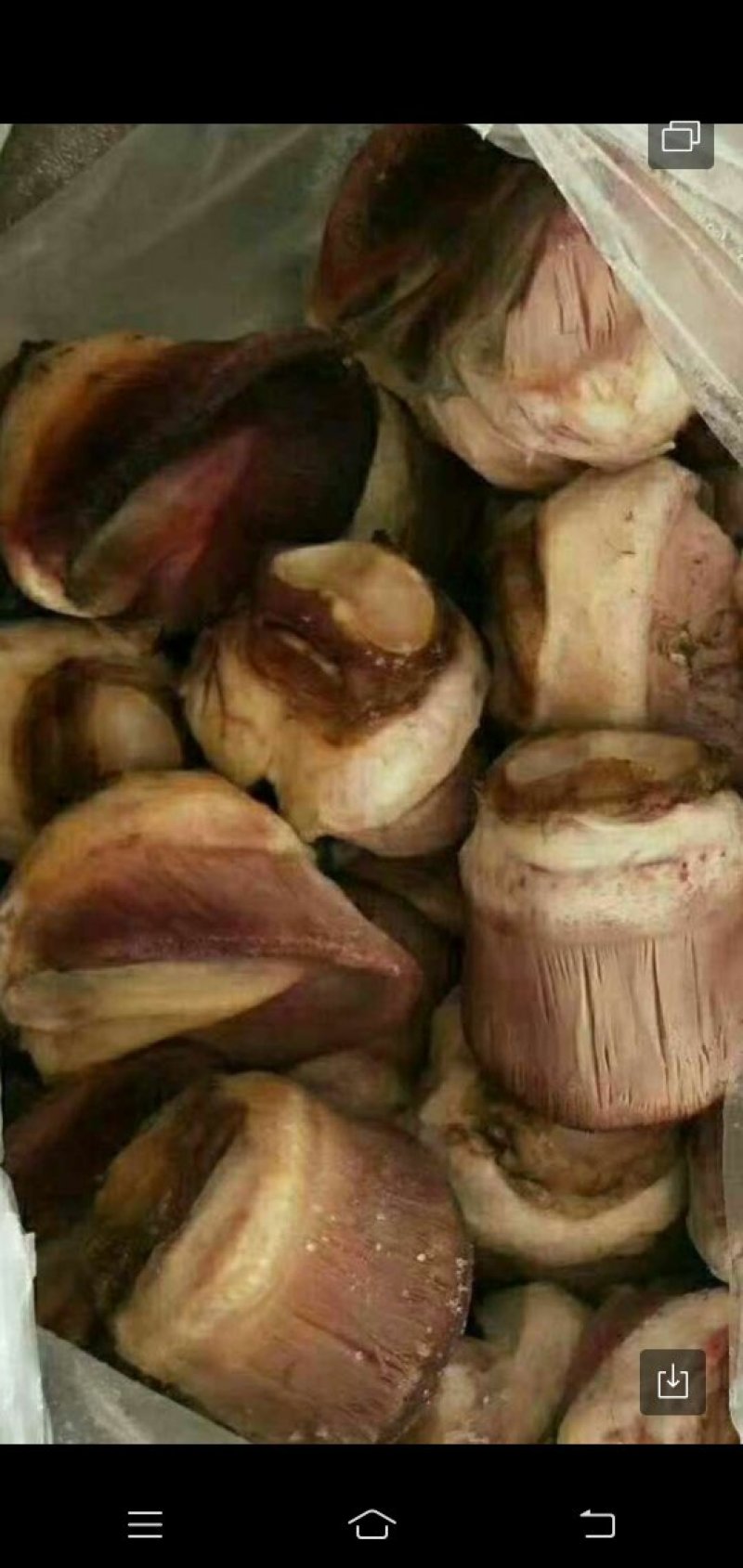 现货