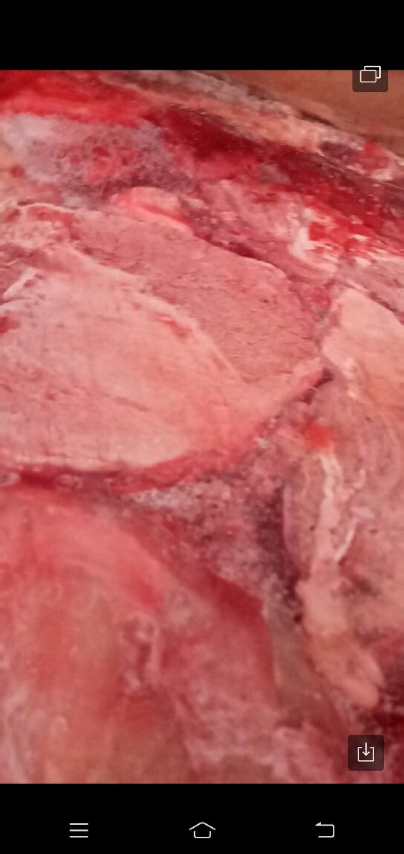 毛塔驴肉