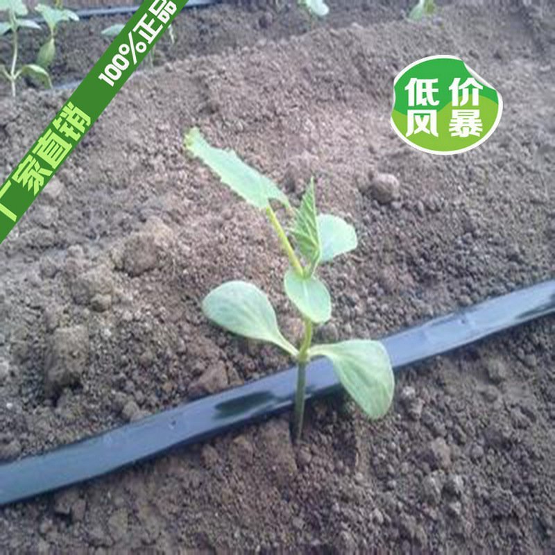 蔬菜滴灌带