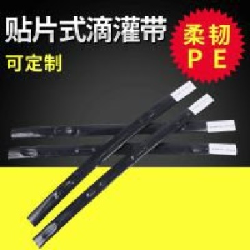 滴灌过滤施肥一体化