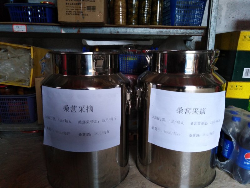 桑椹酒