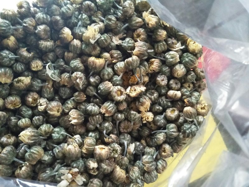【热销】散装胎菊基地直销质量保证欢迎采购