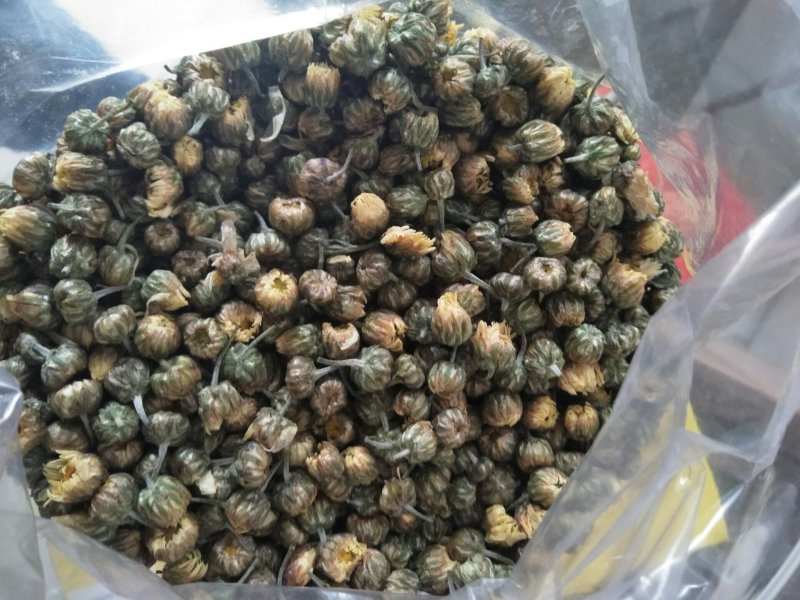 【热销】散装胎菊基地直销质量保证欢迎采购