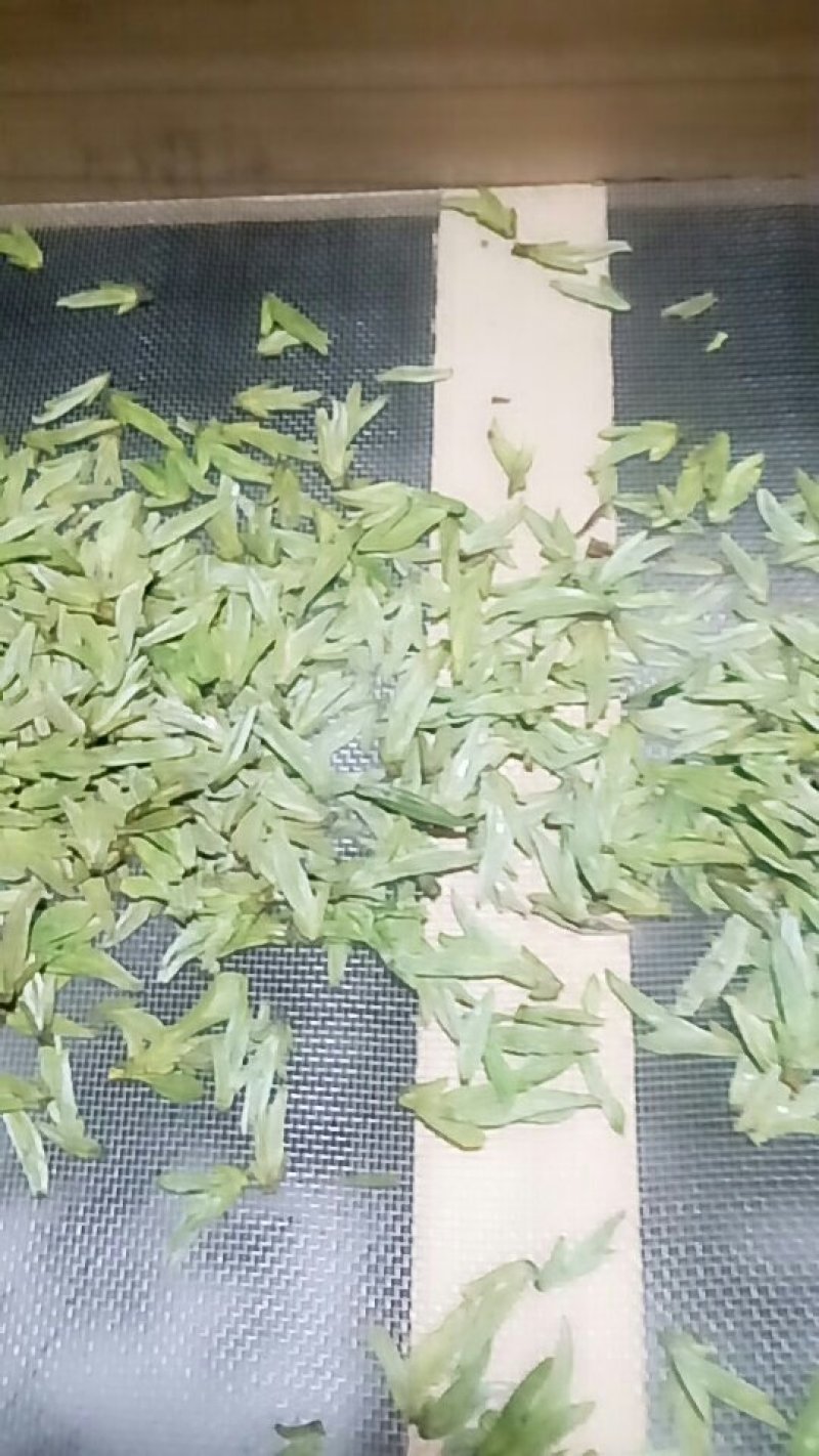 龙井茶