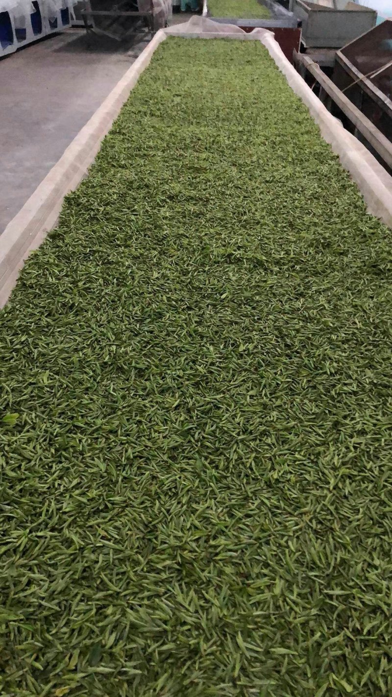 龙井茶