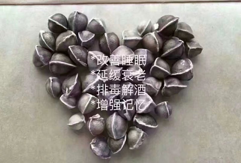 辣木籽