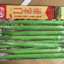 辣掌门辣椒种子1000粒/袋全国包邮线椒种子