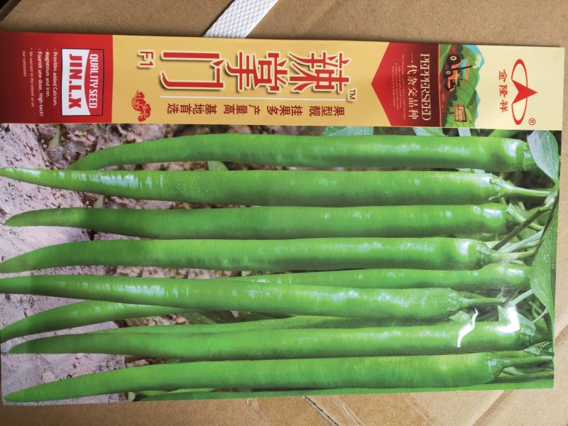 辣掌门辣椒种子1000粒/袋全国包邮线椒种子