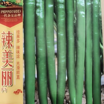辣美丽辣椒种子1000粒/袋包邮线椒种子干鲜两用