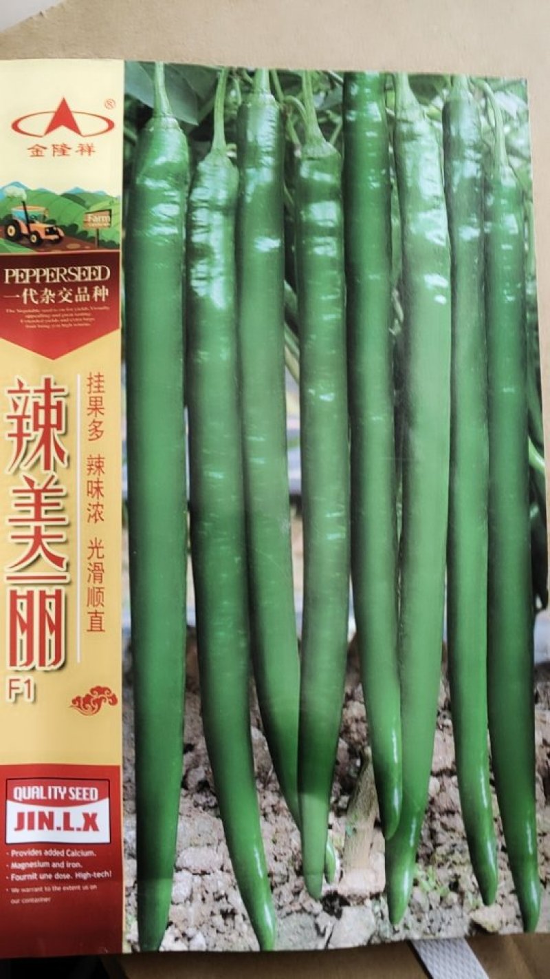 辣美丽辣椒种子1000粒/袋包邮线椒种子干鲜两用