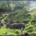 山地