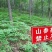 山地