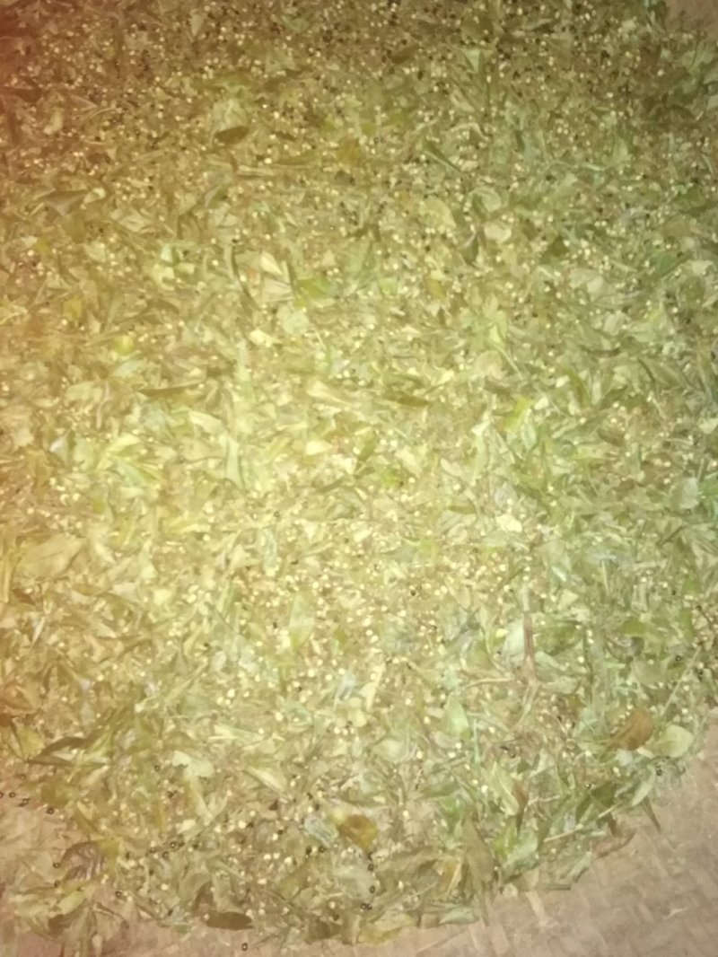 青花椒自然干