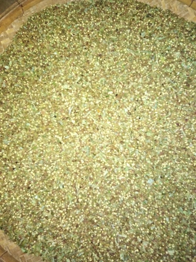 青花椒自然干