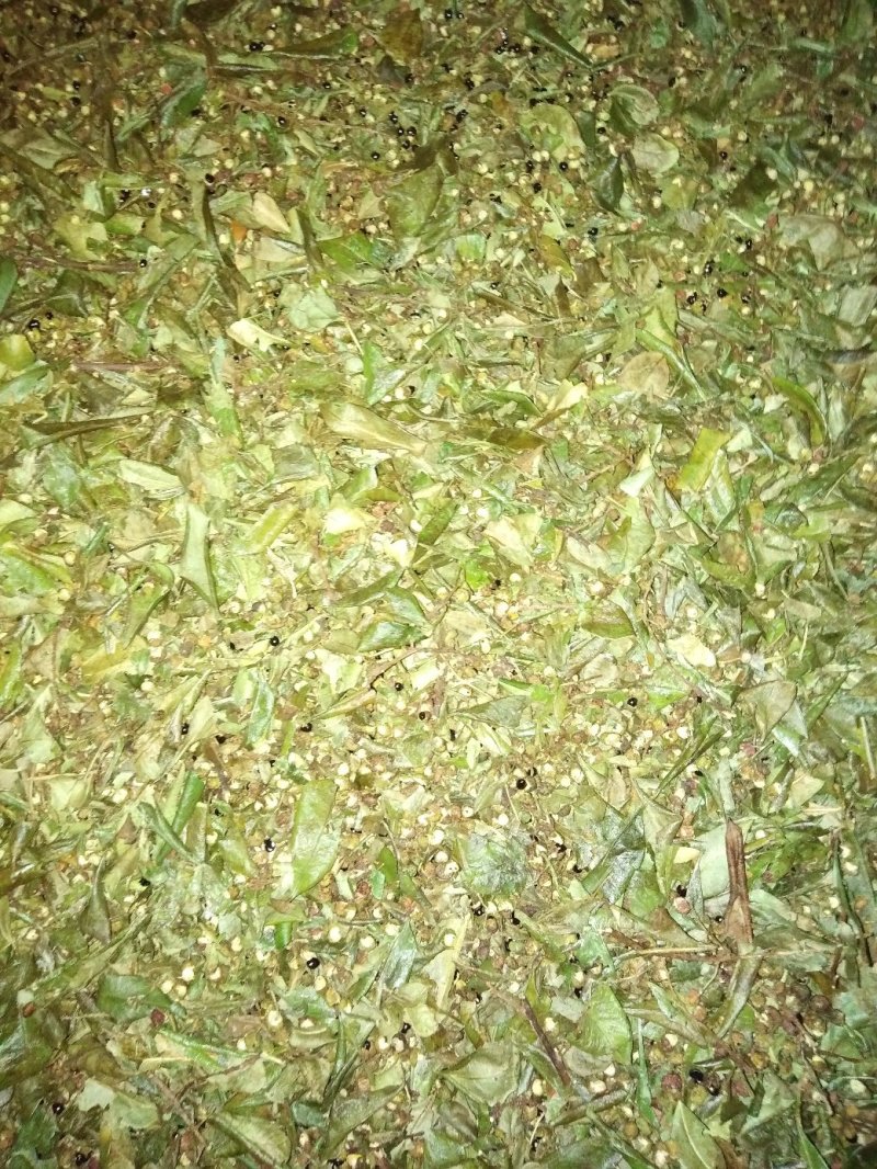 青花椒自然干