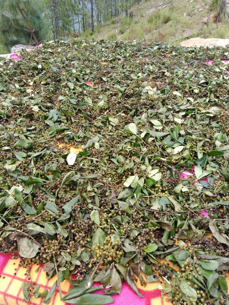青花椒自然干