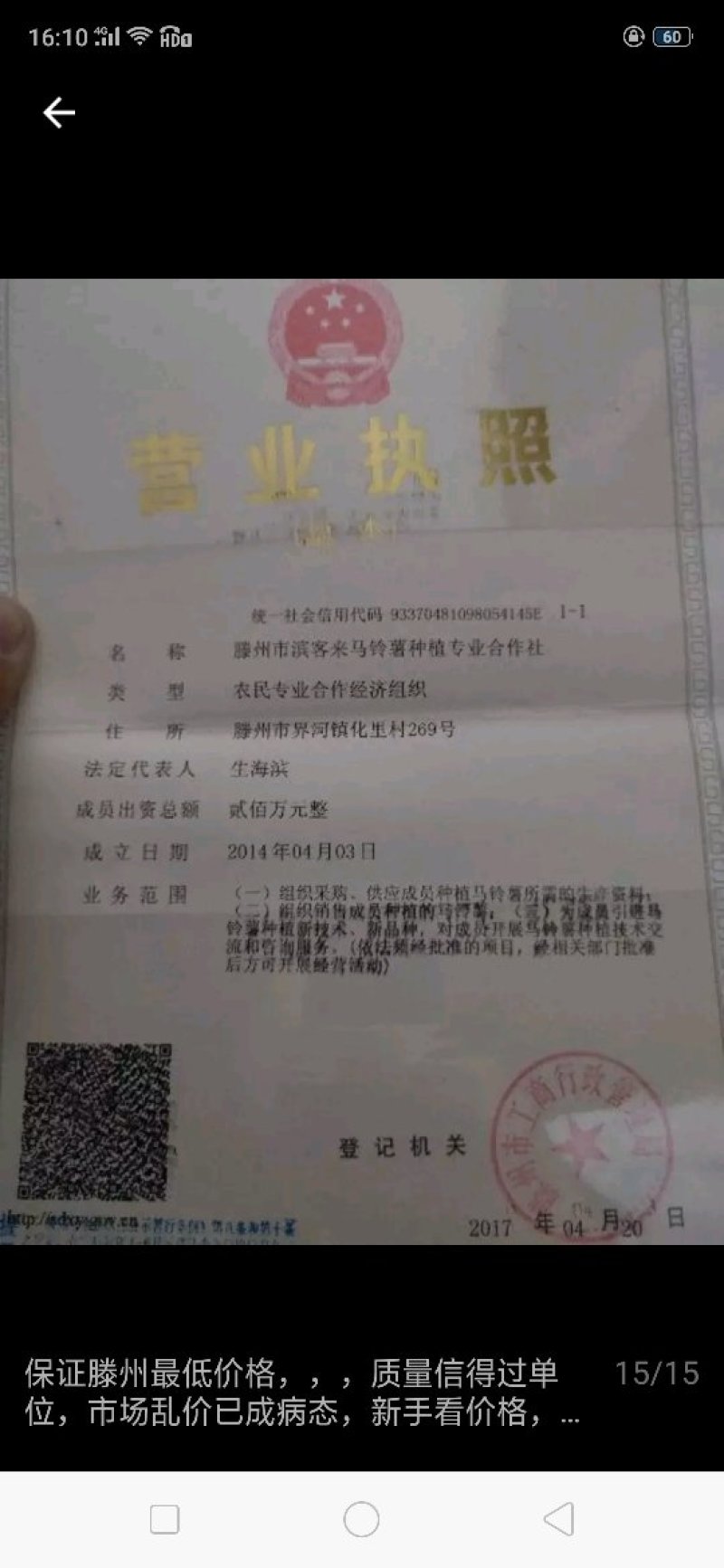 【荐】土豆种子牙子，直接种植的土豆种子，黄皮黄心免育苗