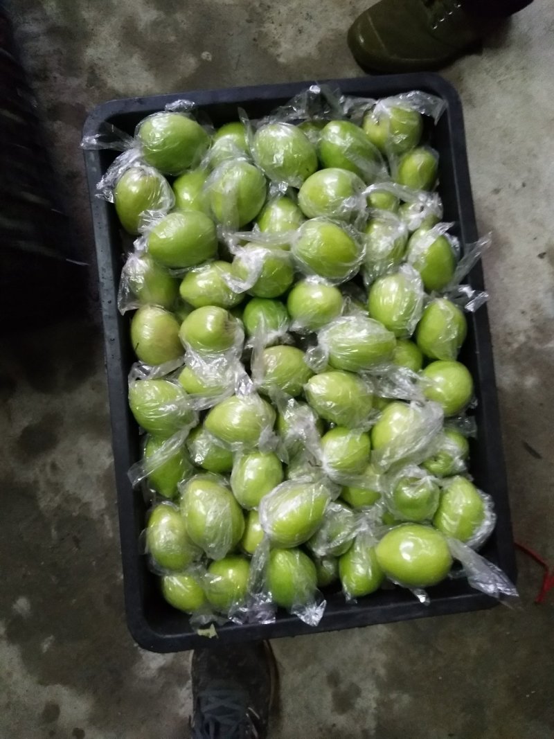 广西平南丹竹优质大清枣，欢迎各位老板前来选购，