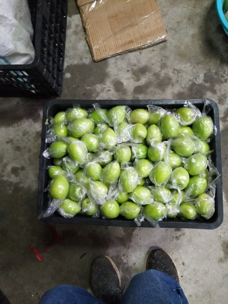 广西平南丹竹优质大清枣，欢迎各位老板前来选购，