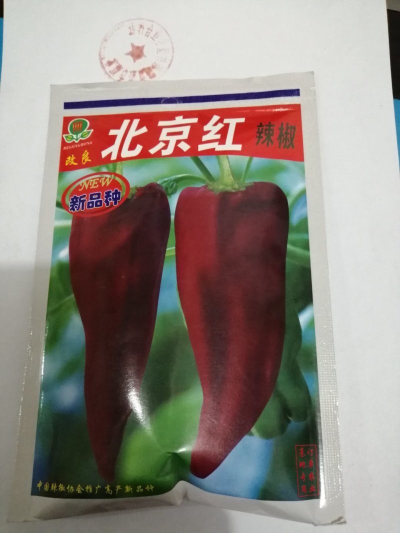 辣椒种子