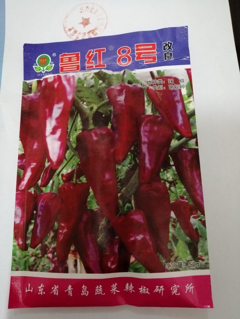 辣椒种子