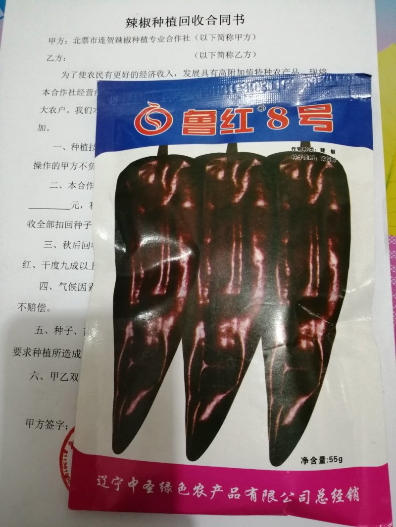 辣椒种子