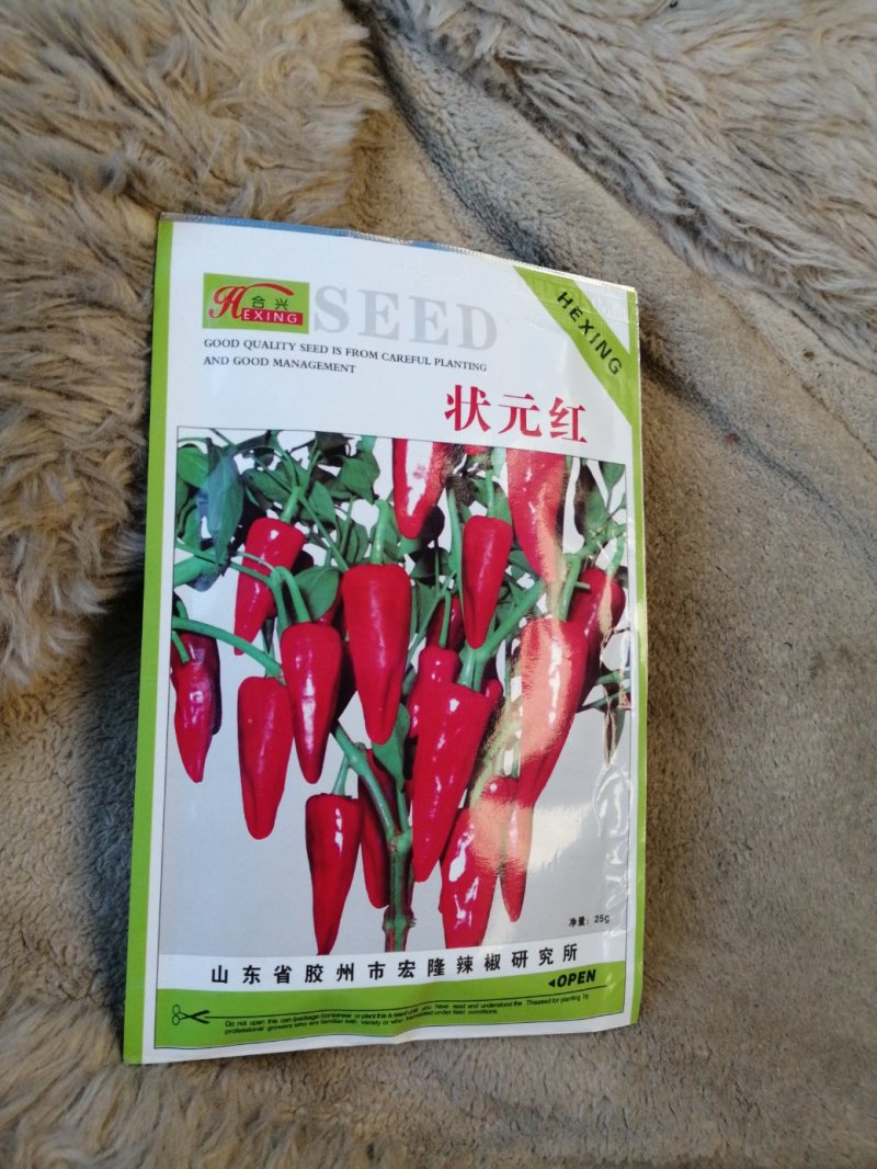 辣椒种子
