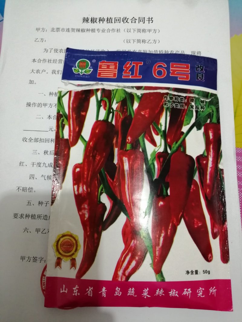 辣椒种子