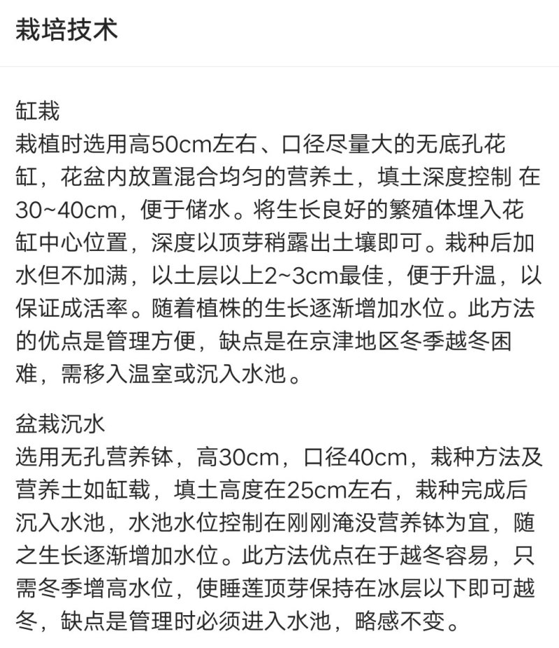 睡莲颜色齐全见水就活简单易种