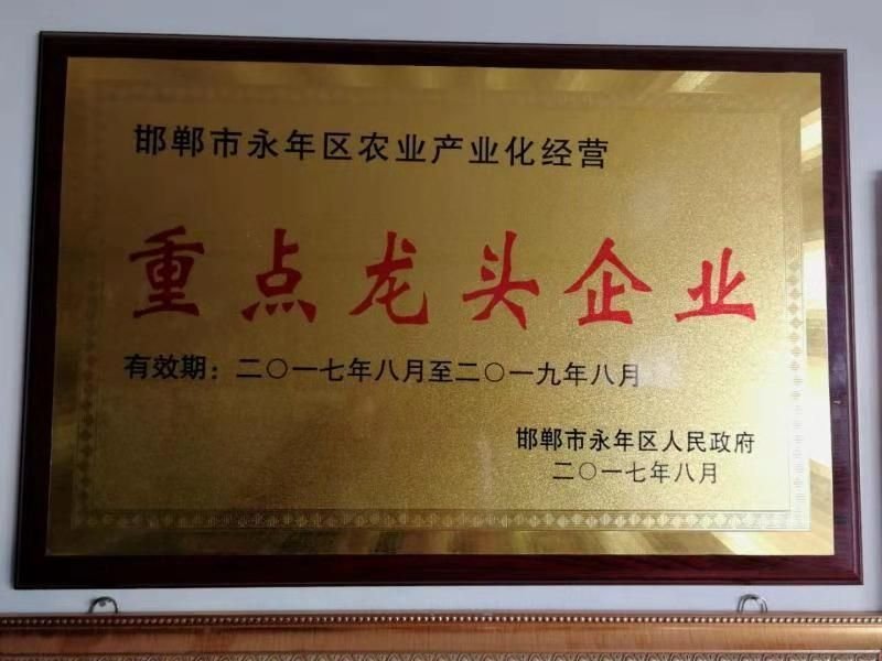 发酵腐熟纯鸡粪:，改良土壤，培肥地力，生根壮秧