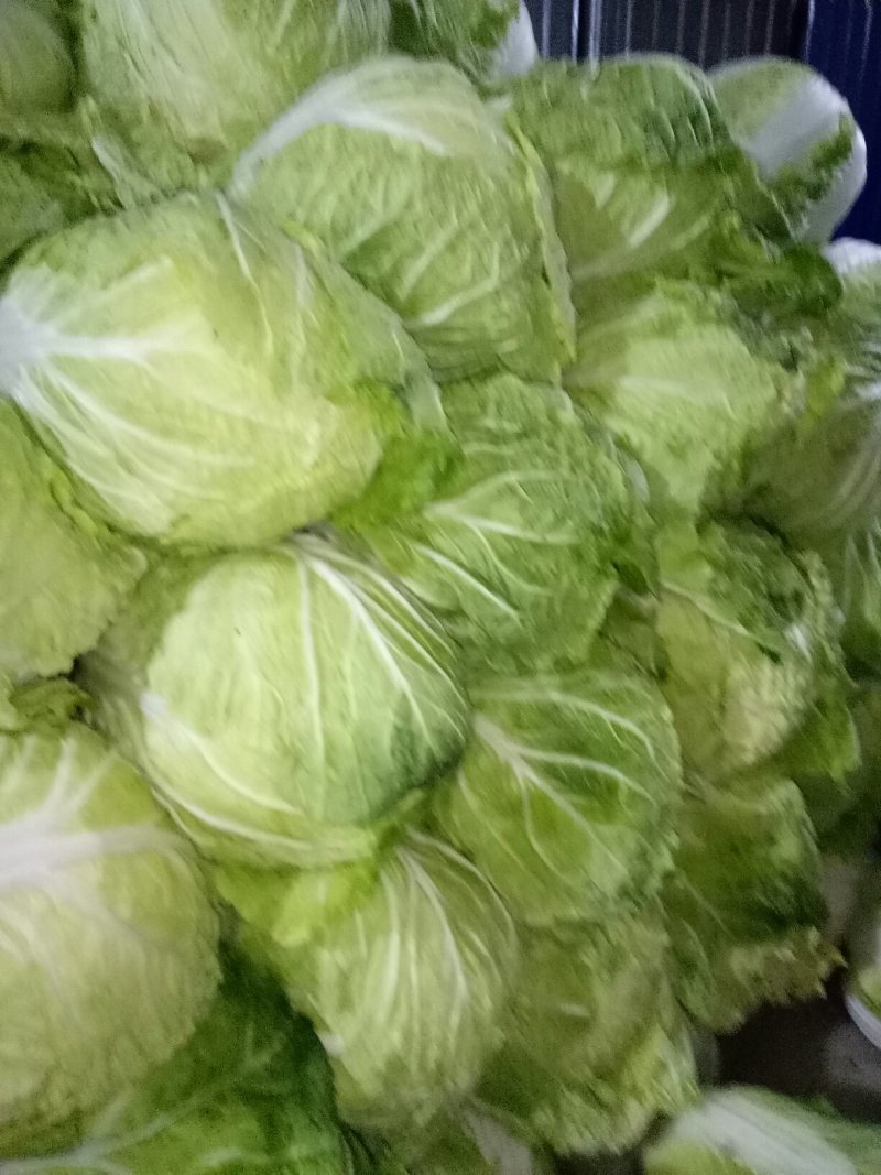 黄心白菜