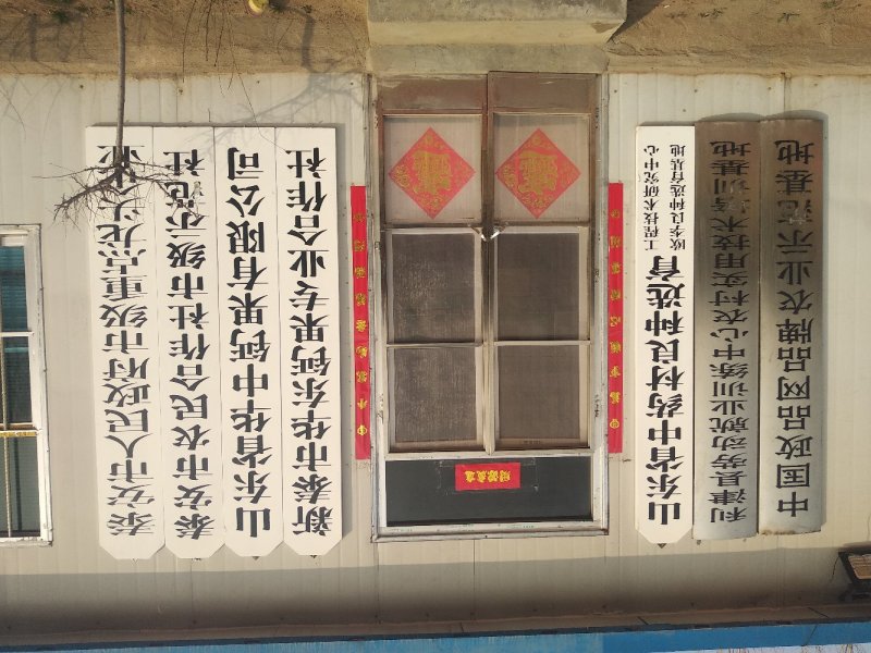 中国最大的钙果基地在泰安市天宝镇！