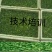 黑豆苗，技术培训，本人有着十几年过硬的技术