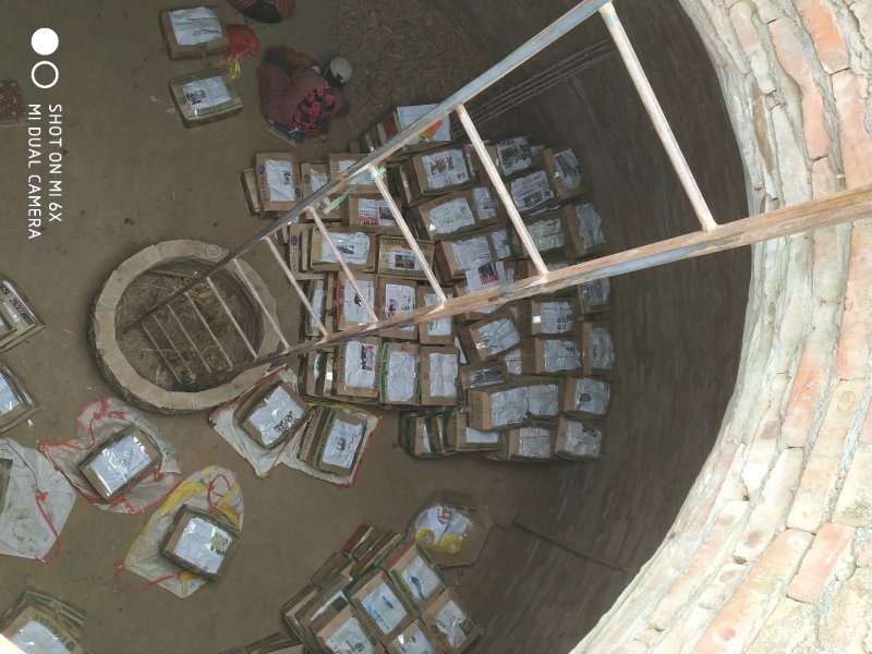 【推荐】精品龙薯九产地直发一手货源价优欢迎合作