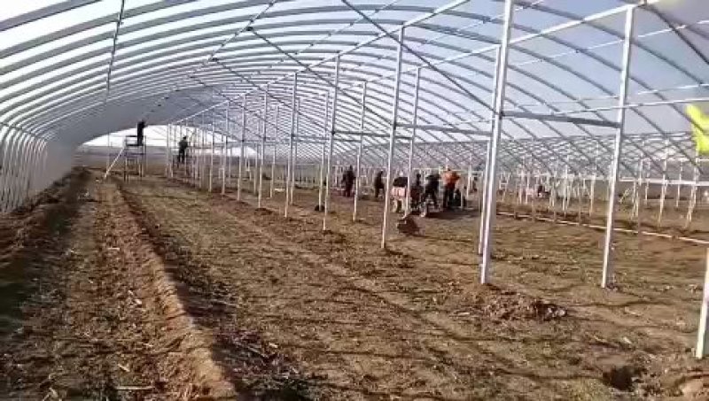 天津热镀锌钢管大棚，天津热镀锌钢管生产厂家。