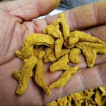 姜黄，四川姜黄干货，高含量货干颜色漂亮大货供应