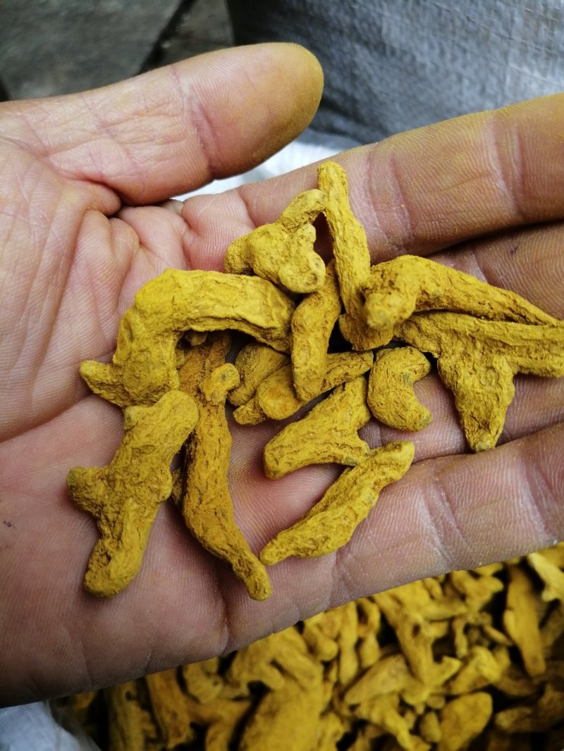 姜黄，四川姜黄干货，高含量货干颜色漂亮大货供应