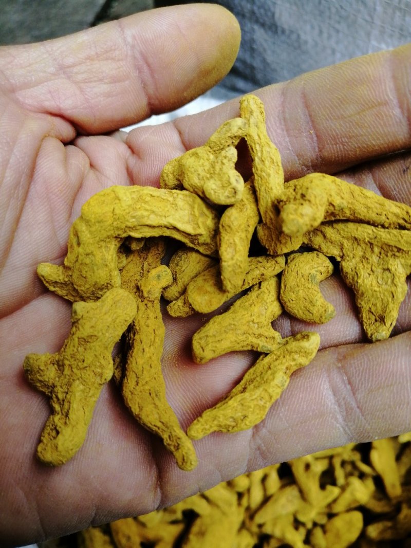 姜黄，四川姜黄干货，高含量货干颜色漂亮大货供应