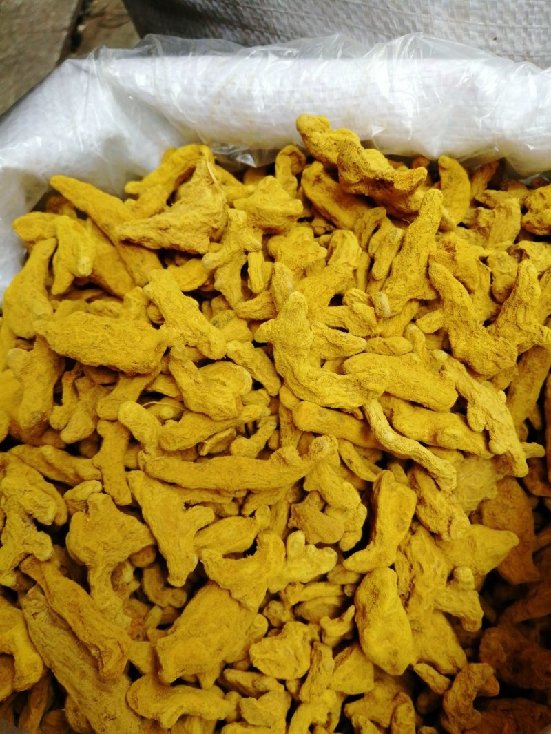 姜黄，四川姜黄干货，高含量货干颜色漂亮大货供应