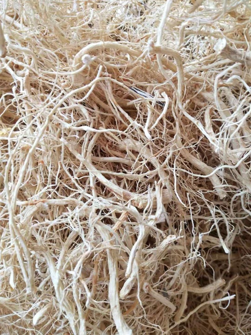 长白山六年大货白参须，一手货源，质量保证，回头客超多。