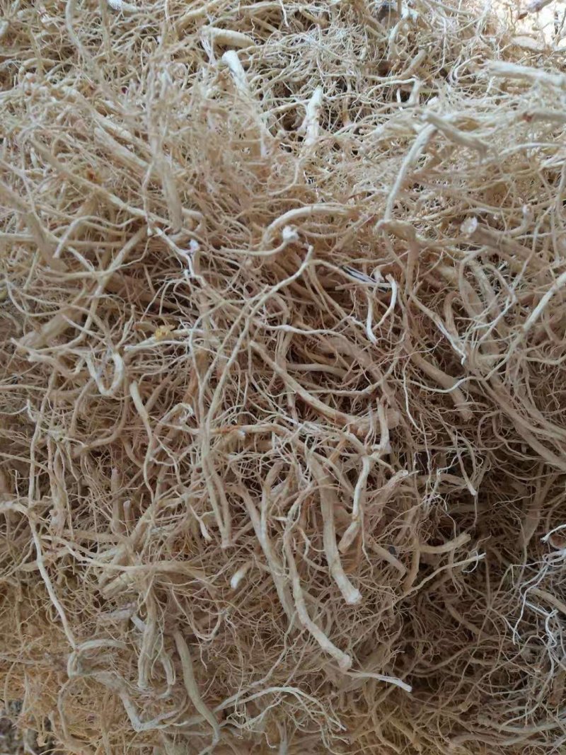 长白山六年大货白参须，一手货源，质量保证，回头客超多。
