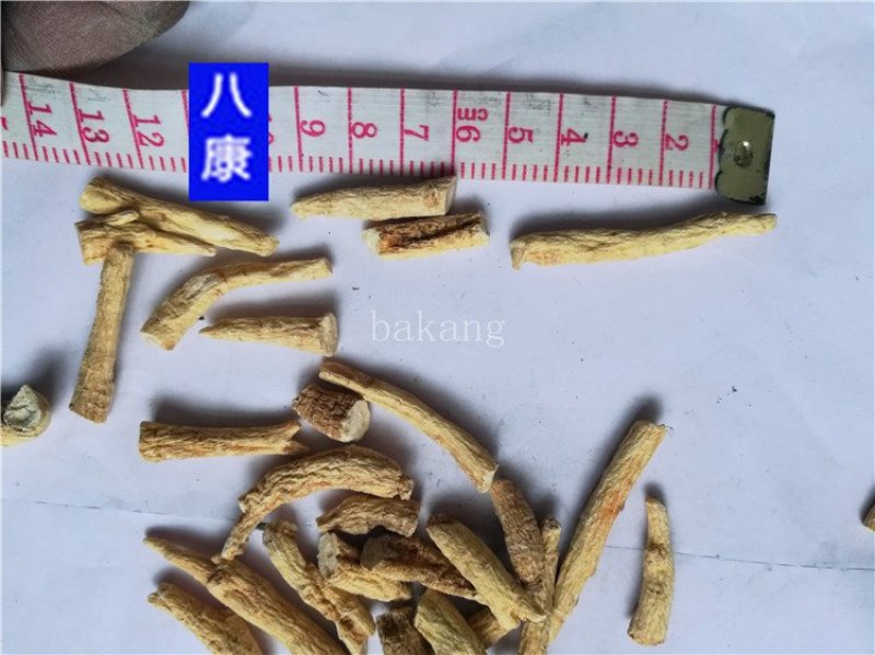 西洋参断节批发诚信经营支持混批一件代发1000克起