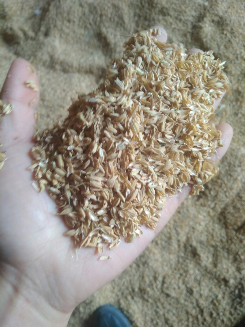 大量供应稻壳。