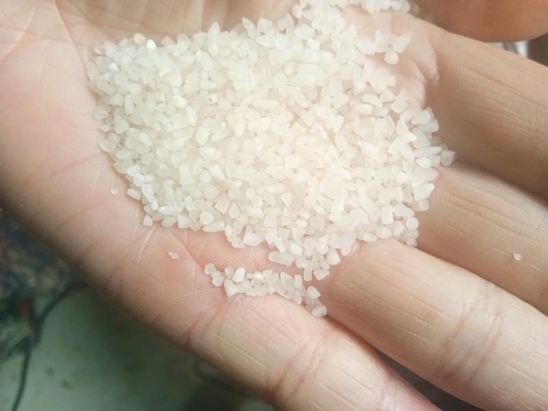 碎米，厂家大量批发碎米无黄粒可做酒熬粥用