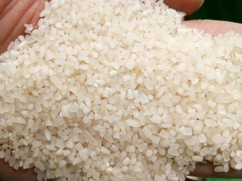 碎米，厂家大量批发碎米无黄粒可做酒熬粥用